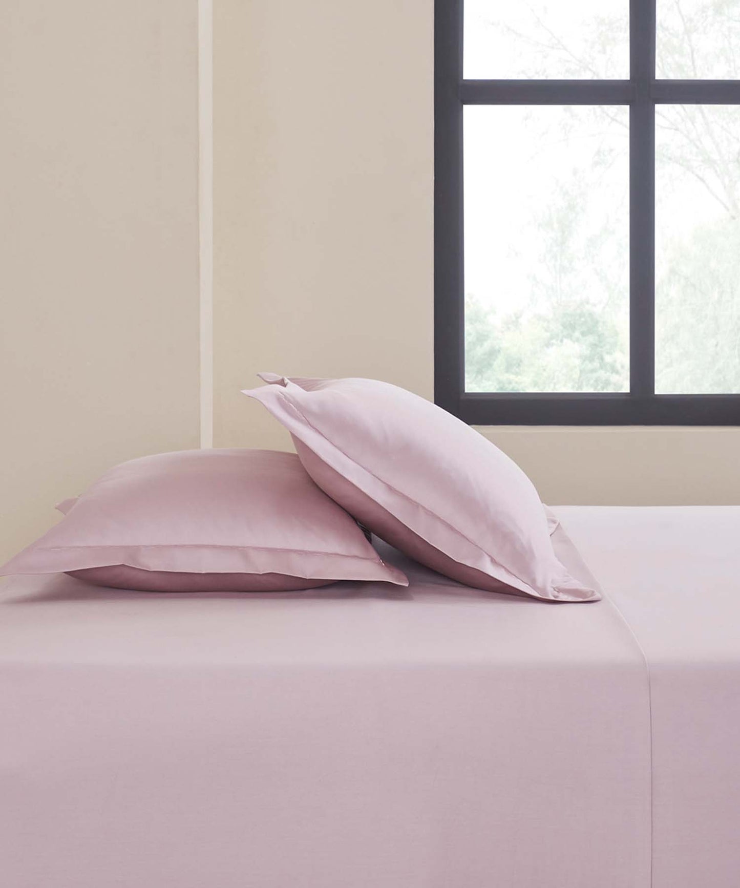 King Bedsheet