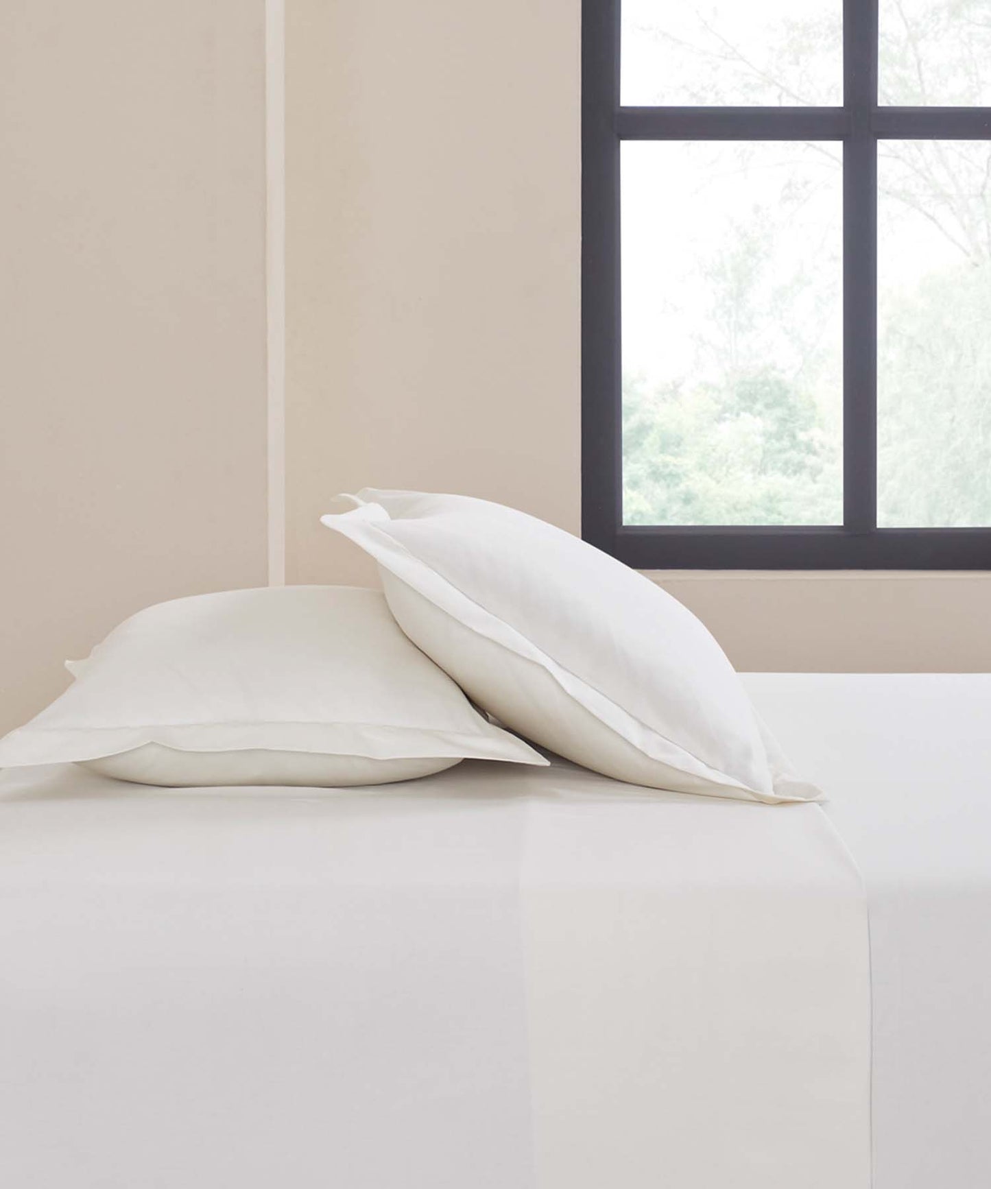 King Bedsheet