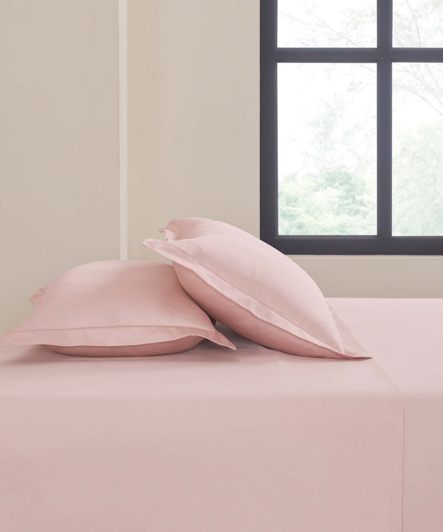 King Bedsheet